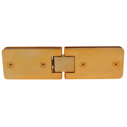 DG Shower Hinge 1100 Gold Wash (France)