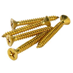 MASTER Brass Screw 11/2X8